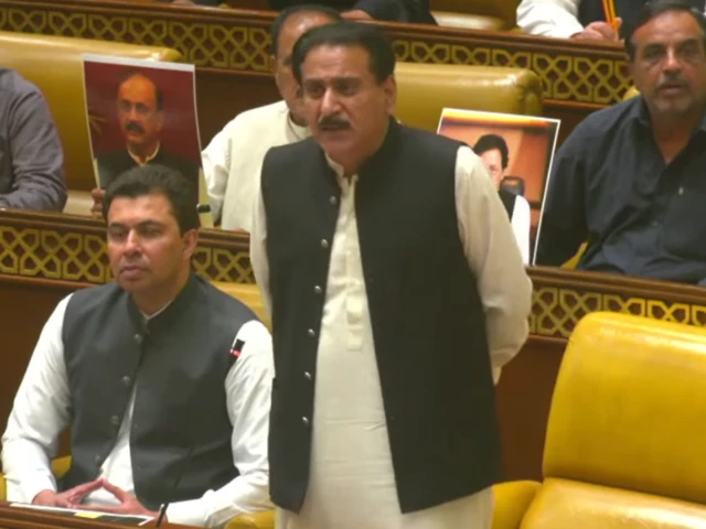 deputy opposition leader in punjab assembly muhammad moeenuddin riaz photo screengrab