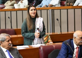na passes resolutions against honour killings digital harassment