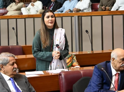 na passes resolutions against honour killings digital harassment