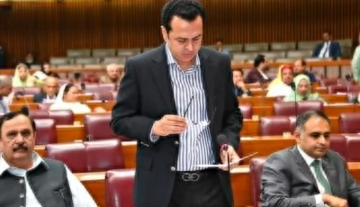 minister of state for interior talal chaudhry addresses the national assembly on aug 7 2025 photo x naofpakistan