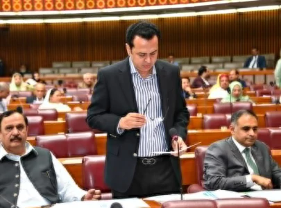 pml n s talal trains guns on anp s aimal wali