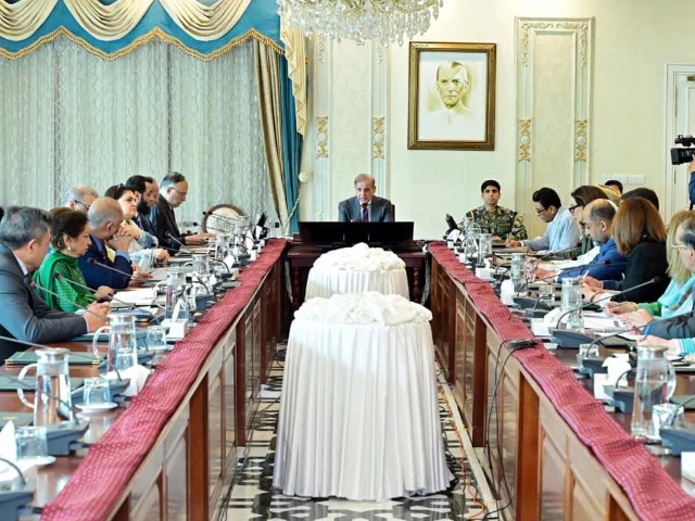 prime minister shehbaz sharif chairs a high level meeting regarding impact of rising population on development in islamabad on aug 7 2025 photo app
