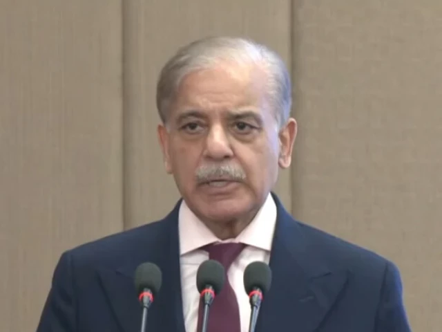 prime minister shehbaz sharif addresses a ceremony in islamabad marking international youth day on aug 12 2025 photo express