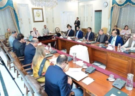 pm orders completion of 100mw g b solar project in one year