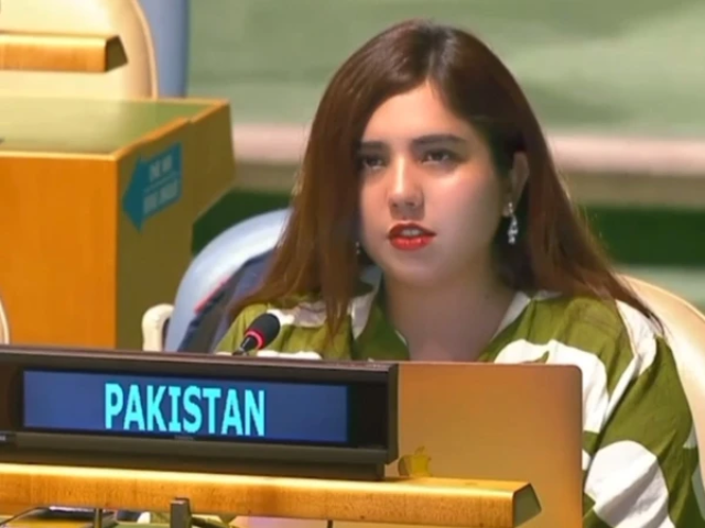 Pakistan slams India at UNGA over human rights abuses, state terrorism