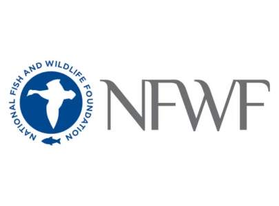 national fish and wildlife foundation high salary scandal exposed amid federal funding controversy