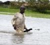 death toll in nigeria flooding rises to 115