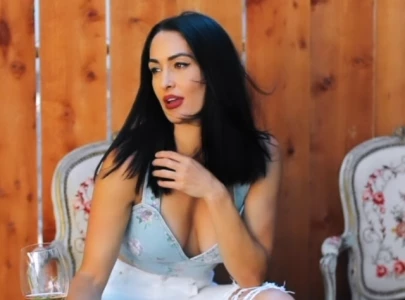 nikki bella seeks divorce after alleged domestic violence nikki bella seeks divorce after alleged domestic violence