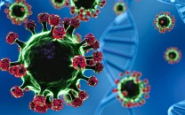 what to know about the nipah virus