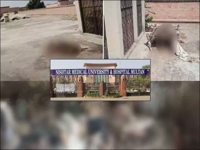 contrary to initial reports of the presence of 500 bodies only four were found on the rooftop photo express contrary to initial reports of the presence of 500 bodies only four were found on the rooftop photo express