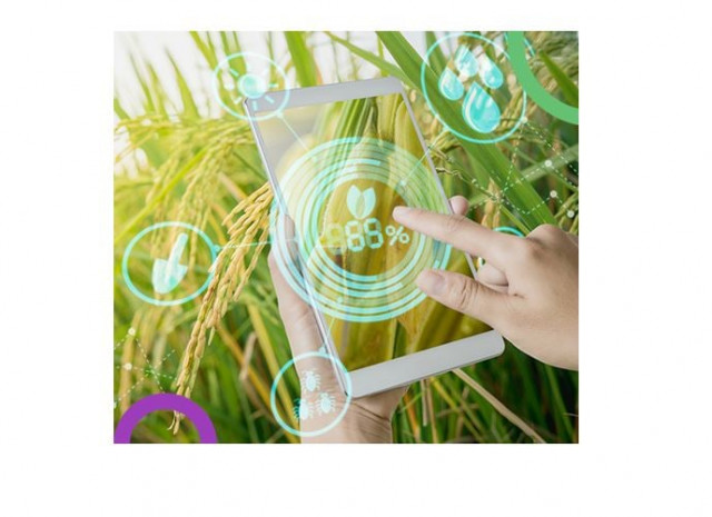 nic pakistan to host hackathon on agriculture nic pakistan to host hackathon on agriculture