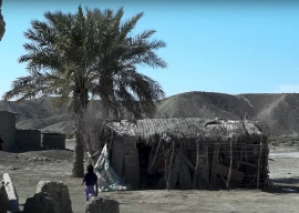 rooted in dreams the dust