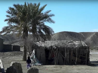 rooted in dreams the dust