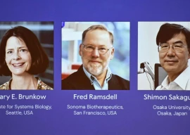 us japan scientists win nobel prize for breakthroughs in immune system control us japan scientists win nobel prize for breakthroughs in immune system control