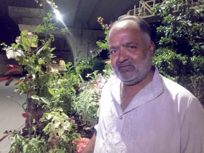 lockdown spurs surge in nurseries business lockdown spurs surge in nurseries business