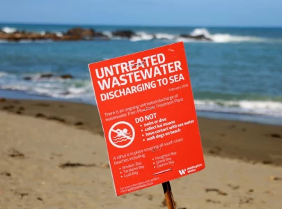 nz mayor swims to ease sewage fears