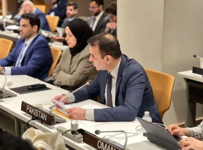 pakistan calls for immediate ceasefire in lebanon at oic session