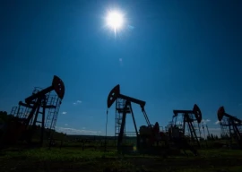 oil dips from seven week high on cautious outlook oil dips from seven week high on cautious outlook