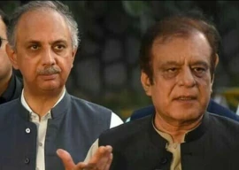 omar shibli de seating challenged in sc omar shibli de seating challenged in sc