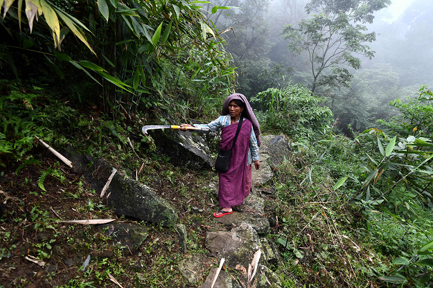 A villager on her way to work in a field outside Kongthong village. PHOTO: AFP 