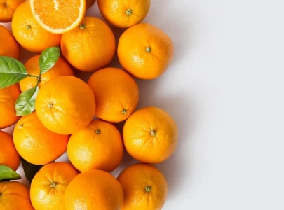 malaysia lifts orange export ban malaysia lifts orange export ban