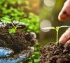 pakistan lags in asia s organic production boom
