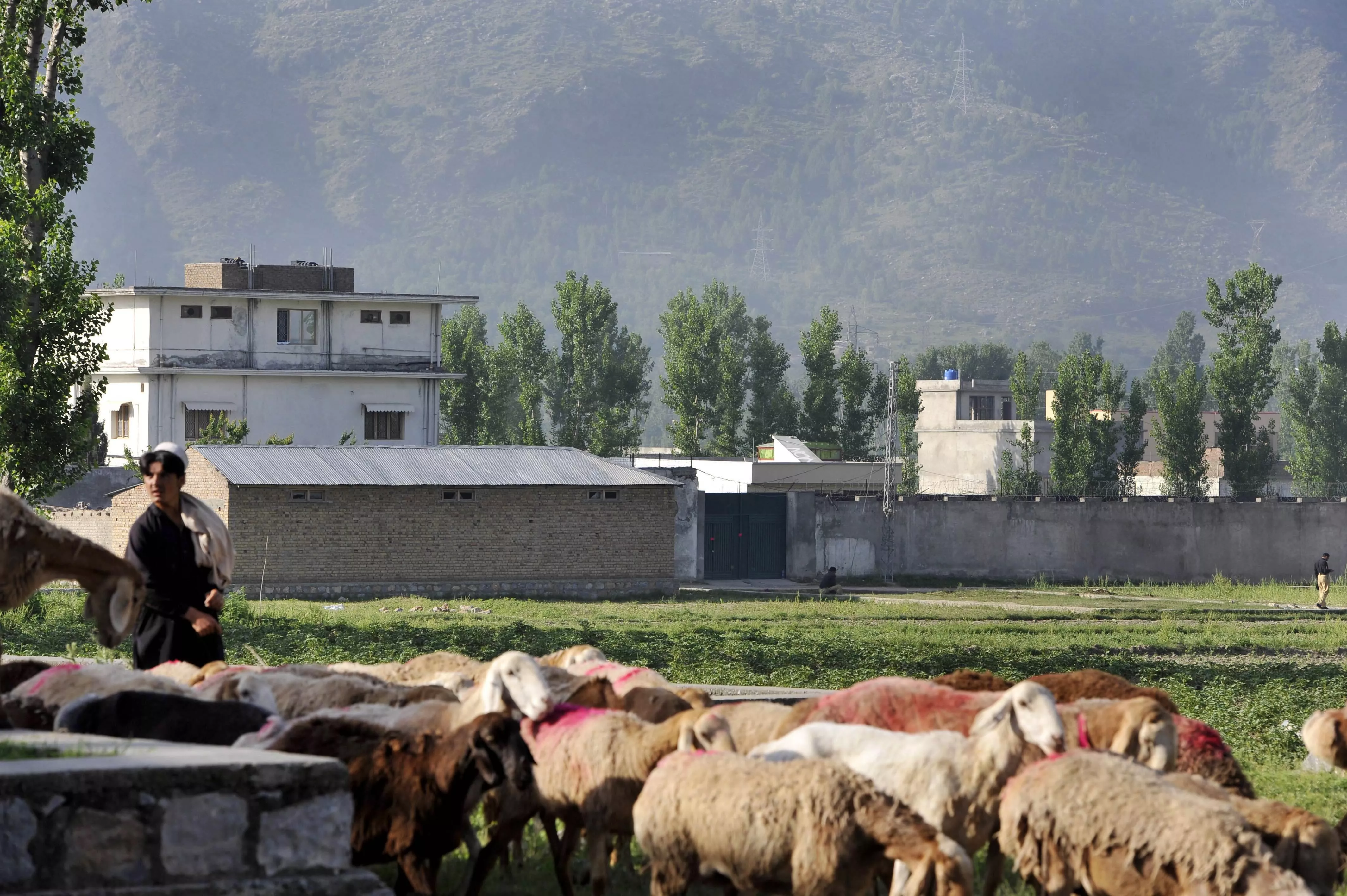 us administration divided on ties with pakistan report