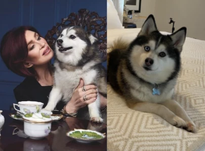 osbourne family mourns loss of beloved dog elvis months after ozzy osbourne s death osbourne family mourns loss of beloved dog elvis months after ozzy osbourne s death