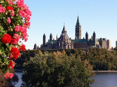 ottawa s fall chill returns as temperature to drop to single digit over weekend