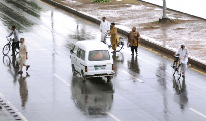 out on a limb pedestrians without overhead bridges signboards