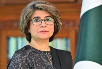 amna baloch retires as foreign secretary