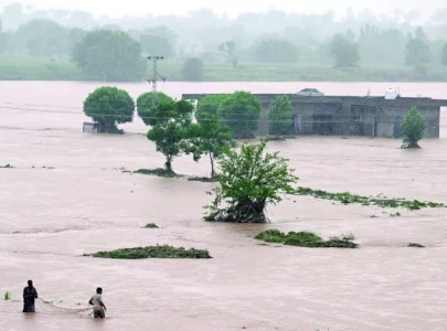 sbp to hold rate as floods fuel inflation sbp to hold rate as floods fuel inflation