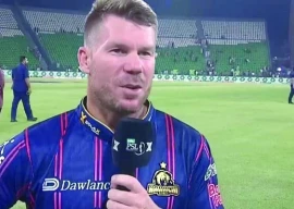 karachi kings skipper david warner is an aggressive player who wants his team to attack at all times photo pcb