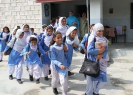 private schools association to challenge extension of summer holidays in punjab private schools association to challenge extension of summer holidays in punjab
