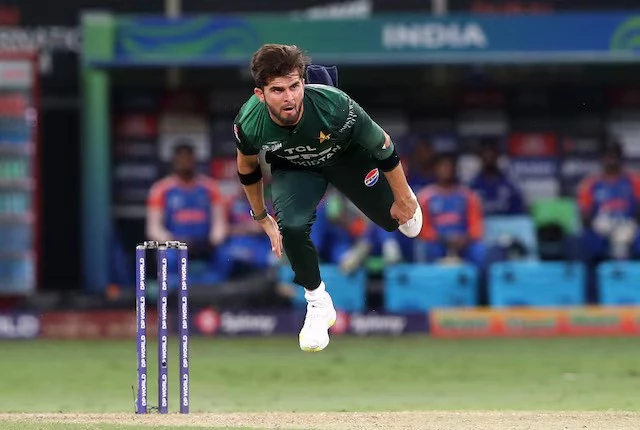 shaheen replaces rizwan as odi captain shaheen replaces rizwan as odi captain