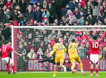 forest thrash brighton 7 0 forest thrash brighton 7 0