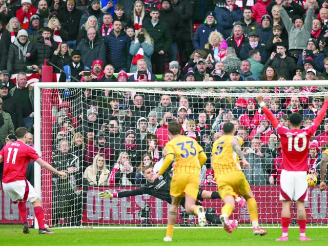 forest thrash brighton 7 0 forest thrash brighton 7 0