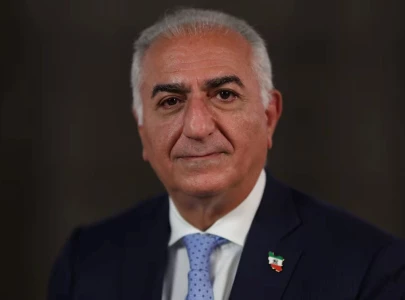 regime change inside reza pahlavi s faltering bid to lead iran