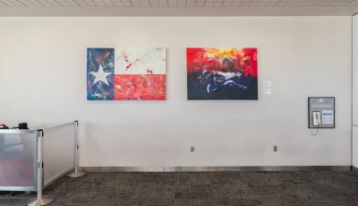 the pakistani american artist s day and night has been selected for display at the international airport of houston iah where it will remain for two years photo shoutout htx