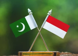 indonesia terms pakistan key partner