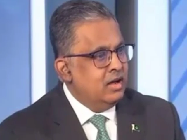pakistan s ambassador to the united states rizwan saeed sheikh photo screengrab pakistan s ambassador to the united states rizwan saeed sheikh photo screengrab