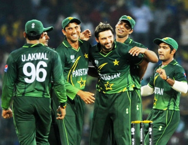 looks like we re having kangaroo for dinner looks like we re having kangaroo for dinner