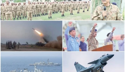 pakistan force pakistan force