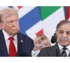 how pakistan became internet s latest meme obsession