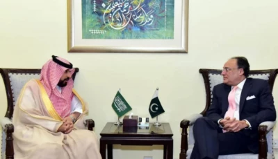 pakistani finance minister saudi envoy explore economic cooperation