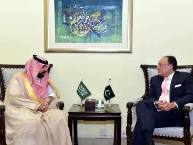 pakistani finance minister saudi envoy explore economic cooperation pakistani finance minister saudi envoy explore economic cooperation