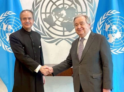 pakistan pushes for lifting curbs on syria