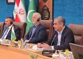 pakistan iran and iraq to form joint body to streamline pilgrim travel pakistan iran and iraq to form joint body to streamline pilgrim travel