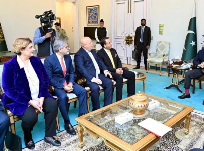 pm shehbaz vows to achieve 25b it export goal in three years