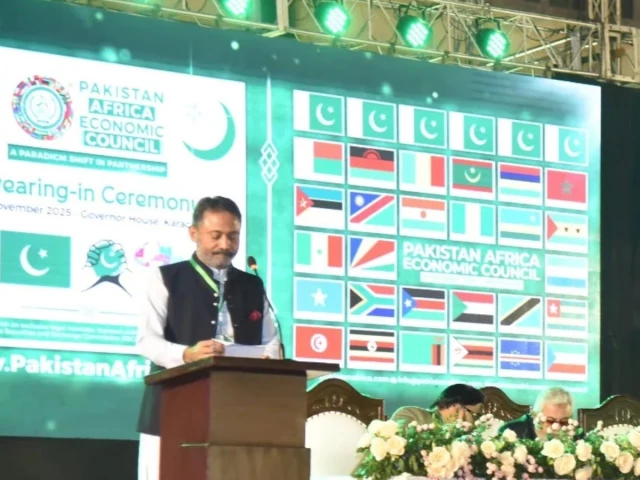 Pakistan-Africa Economic Council to launch to tap 1.59b-people consumer market
